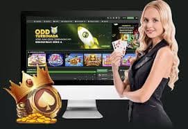 6xbet